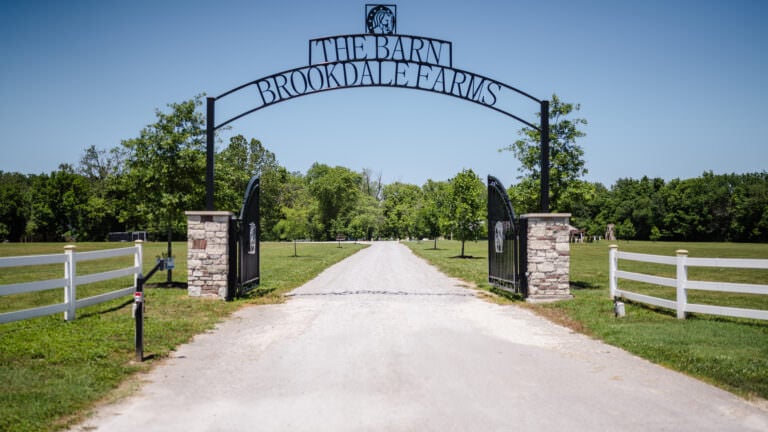 jess and mike at brookdale farms eureka mo 16 mckinley