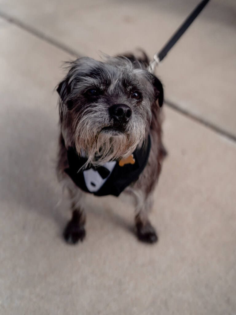 elopment style wedding at don robinson state park jessica and brian 39 39 of 273 selected mckinley g photography