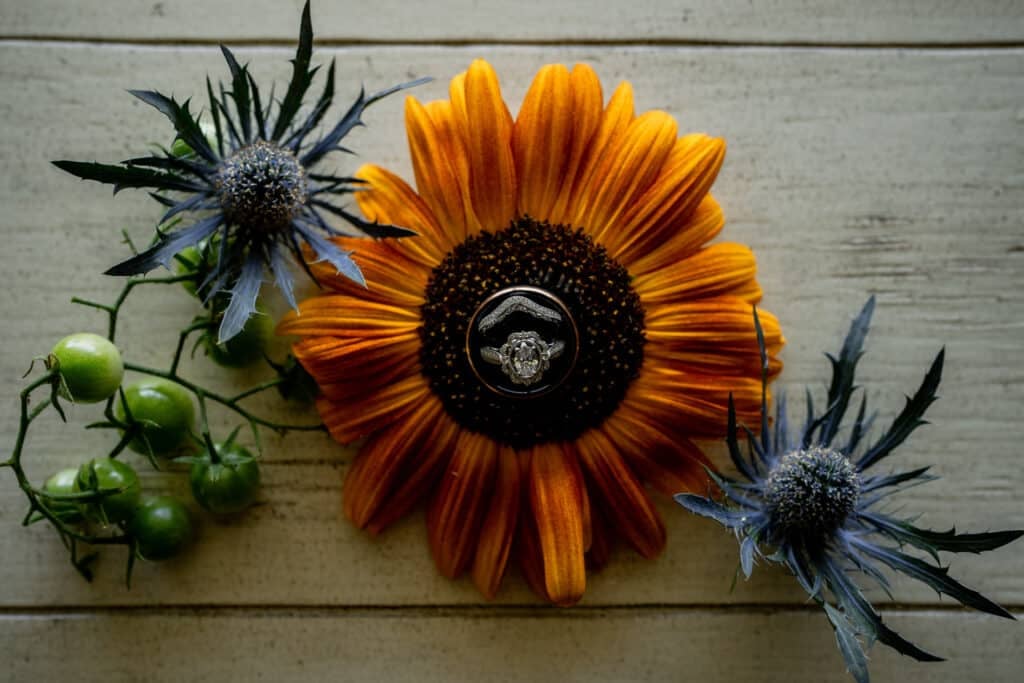 Sun Flower Hill Farm ring on sunflower with blue flowers tomatoes